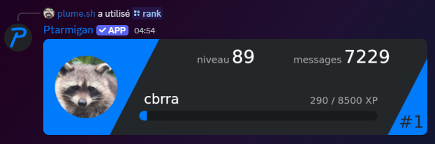Rank card example
